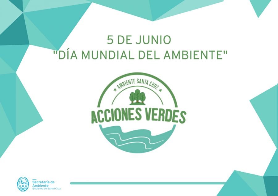 Celebraran el Día Mundial del Ambiente con importantes acciones