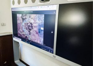 Gómez Bull desarrolló importante agenda de trabajo en Buenos Aires