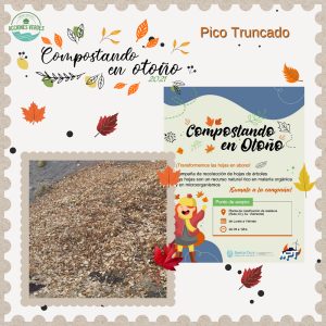Con gran éxito finalizó la Campaña “Compostando en Otoño 2021”