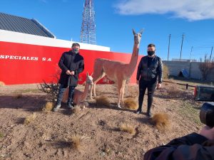 Cultura de Provincia participó de mesas de trabajo y recorrió distintos espacios  en Pico Truncado