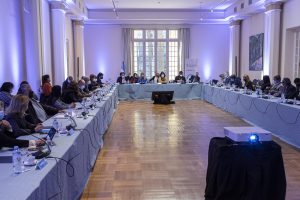 Santa Cruz participó en la reunión presencial del COFESA