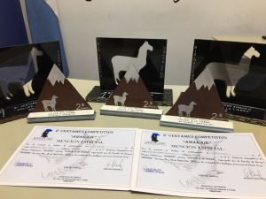 Notable participación de La Escuela Provincial de Danzas en el certamen “Volver a la Tierra”