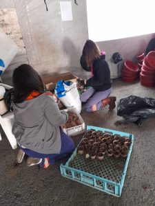 #AccionesVerdes: vecinos y vecinas se sumaron al EcoCanje en Río Gallegos