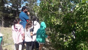 Educación Rural desarrolla nuevas actividades en la huerta orgánica