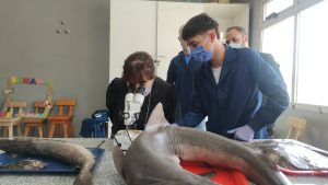 Educación: Intensa agenda de trabajo en Caleta Olivia