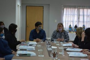 El Consejo Provincial de Niñez sesionó de manera presencial
