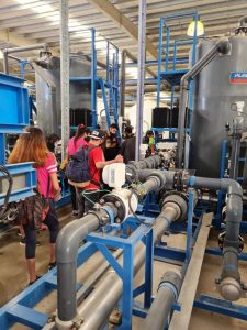 Educación llevó adelante el Proyecto Interdisciplinario: “Caminar hace bien”