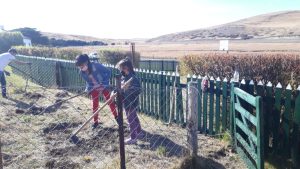 Educación pone en marcha un proyecto de reforestación en las Escuelas Rurales