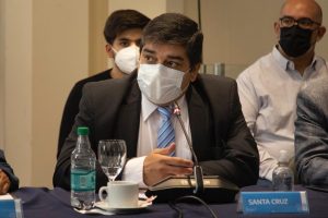 La Provincia de Santa Cruz participó del Consejo Federal de Salud