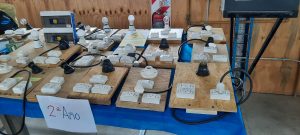 Educación Técnica Profesional: La E.I.P.E de 28 de Noviembre realizó la Exposición de fin de año