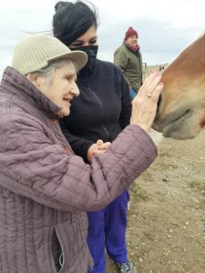 Adultos Mayores del “Zumalacarregui” participaron de jornada terapéutica