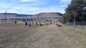 Estudiantes de Santa Cruz pueden ser parte de Prácticas Acuáticas y Fútbol Callejero