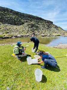 La Secretaría de Pesca continúa el estudio de peces en el Cardiel