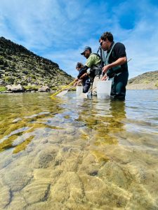 La Secretaría de Pesca continúa el estudio de peces en el Cardiel