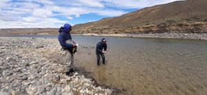 La Secretaría de Pesca continúa el estudio de peces en el Cardiel