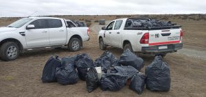 Primera jornada de Plogging de la Campaña provincial “Volvé con tus residuos”
