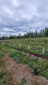 El Gobierno de Santa Cruz presente en Los Antiguos para acercar sus herramientas de acompañamiento