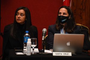 Comenzó en Santa Cruz el encuentro para armonizar criterios para el cobro de ingresos brutos