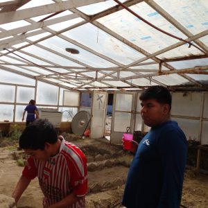 Se registraron actos de vandalismo en el vivero de la Escuela Especial N°13 de Caleta Olivia