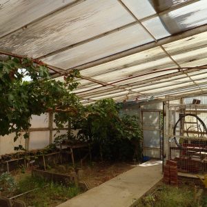 Se registraron actos de vandalismo en el vivero de la Escuela Especial N°13 de Caleta Olivia