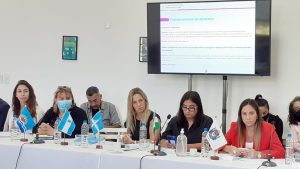 Santa Cruz participó del Consejo Federal de Niñez