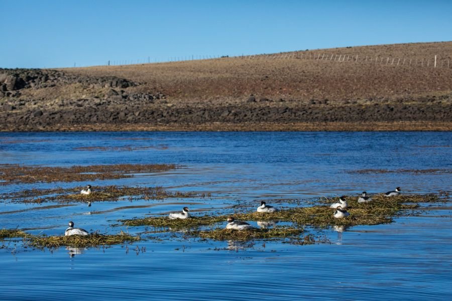 Se avanza en la instalación de sistemas de energía renovable en áreas rurales