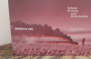 El Museo Minnicelli presenta “Señales de humo para otros mundos” de Patricia Viel