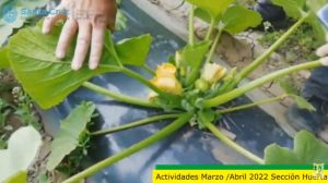 La Escuela Agropecuaria Nº1 desarrolla proyectos vinculados al sector productivo y técnico de la región