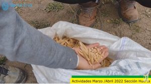 La Escuela Agropecuaria Nº1 desarrolla proyectos vinculados al sector productivo y técnico de la región