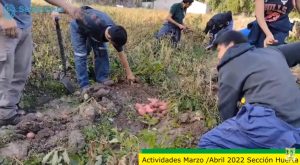 La Escuela Agropecuaria Nº1 desarrolla proyectos vinculados al sector productivo y técnico de la región