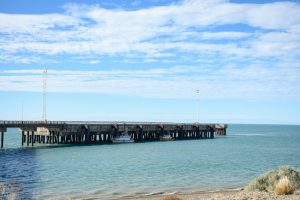 Autoridades provinciales efectuaron acciones en Puerto Santa Cruz