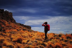 Día del Animal:  La Secretaría de Estado de Ambiente comparte el trabajo de Morgan Pendaries sobre el Chinchillón Anaranjado