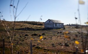 Concretaron el Censo 2022 en la comunidad de Camusu Aike