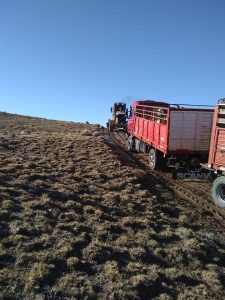 Vialidad Provincial: Acciones destinadas a la comunidad